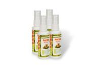 Bed Bug Killer by EcoRaider 2 oz Personal Size x 4 Green Non toxic 100% Kill Extended Protection