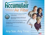 20x20x2 BDP Air Purifier Carbon Filters