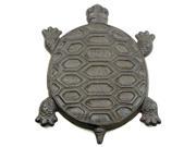 Turtle Stepping Stone