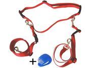 Running Hands Free Leash for Two Dogs and Led Light
