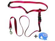Running Dog Leash Hands Free Including LED Light. Great for Walking Running Biking and Jogging.