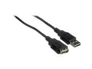 Pearstone USB 2.0 Type A Male to Type A Female Extension Cable 10