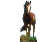 Mustang Horse Lifesized Standup