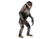 Chimpanzee Cardboard Standup