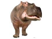 Hippopotamus Cardboard Standup