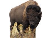 Bison Lifesized Standup