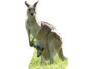 Kangaroo Lifesized Standup