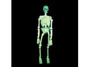 Life Size Glow In The Dark Skeleton