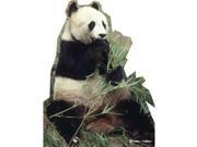 Panda Bear Lifesized Standup