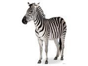Zebra Cardboard Standup