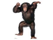 Young Chimpanzee Cardboard Standup
