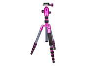 ProMaster XC522 Pink Tripod with Ball Head