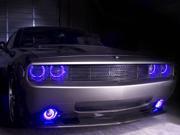 Oracle 08 14 Dodge Challenger w Pro LED Blue Halo Rings Headlights Bulbs