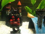 4 Magical Mini Castle w Gray Roof Aquarium Ornament