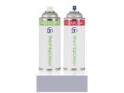 1983 Ford Truck Automotive Aerosol Spray Paint - Basic Package - Medium Gray Metallic 1P/5523 1983 Ford Truck Automotive Aerosol Spray Paint - Basic Package - Medium Gray Metallic 1P/5523
