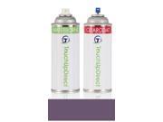1991 Isuzu Impulse Automotive Aerosol Spray Paint - Basic Package - Slate Violet Metallic Clearcoat 713/P010 1991 Isuzu Impulse Automotive Aerosol Spray Paint - Basic Package - Slate Violet Metallic Clearcoat 713/P010