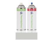 2012 Saab 41520 Automotive Aerosol Spray Paint - Basic Package - Diamond Silver Metallic Clearcoat 315/GAN/636R 2012 Saab 41520 Automotive Aerosol Spray Paint - Basic Package - Diamond Silver Metallic Clearcoat 315/GAN/636R