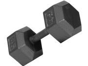 USA Sports Iron Hex Dumbbell 17 in. Dia x 12 in. H 100 lbs.