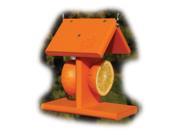 Going Green Recycled Oriole feeder in Orange