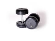 Troy Pro Style Rubber Dumbbells Set of 2 22.5 lbs.