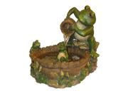 Eternity Mother Frog Bathing Family Fountain with Pump