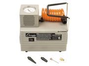 Economy Electric Inflating Pump