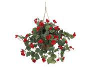 Begonia Hanging Basket