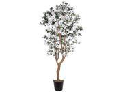 5 Dogwood Silk Tree