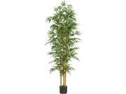 75 Bamboo Silk Tree