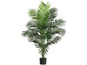 5 Paradise Palm