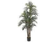 5 Robellini Palm Silk Tree