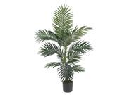 4 Kentia Palm Silk Tree