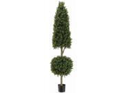 5 Cone Ball Shaped 2 Tone Boxwood Topiary in Plastic Pot
