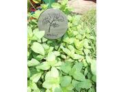 Mint Herb Markers