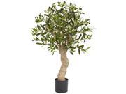 2.5 ft. Olive Silk Tree