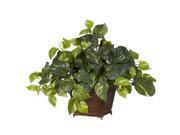 Pothos w Coiled Rope Planter Silk Plant