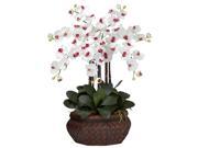 Large Phalaenopsis Silk Flower Arrangement