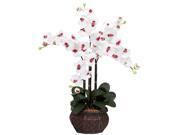 Phalaenopsis w Decorative Vase Silk Flower Arrangement