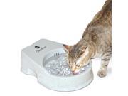 Cat Filter Water Bowl