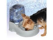 Small Filter Water Bowl with Reservoir