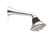 Jewel Faucets Adjustable Spray Anti Lime Shower Head Polished Gold