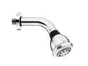 Jewel Faucets Adjustable Spray Anti Lime Shower Head Polished Brass