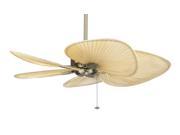 Ceiling Fan in Antique Brass with Wide Oval Palm Blades
