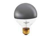 Half Chrome Globe Shape Light Bulbs 12 Bulbs 40w