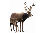 Life Size Reindeer Deer Plush Stuffed Animal