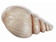 Caribe Conch Shell Knob 52 mm. OL in Pearlized Beige Set of 10