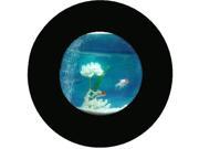 Small Bubble Wall Mounted Aquarium in Black