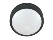 2 Light 10 in. Round Wall Ceiling Fixture