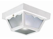 Outdoor Ceiling Light in White