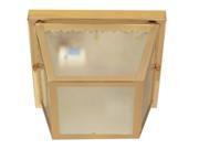Outdoor 2 Light 10 in. Carport Flush Mount With Textured Frosted Glass